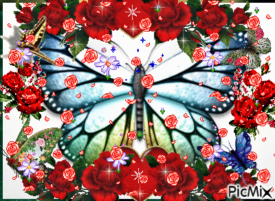 papillon sous pluie de roses